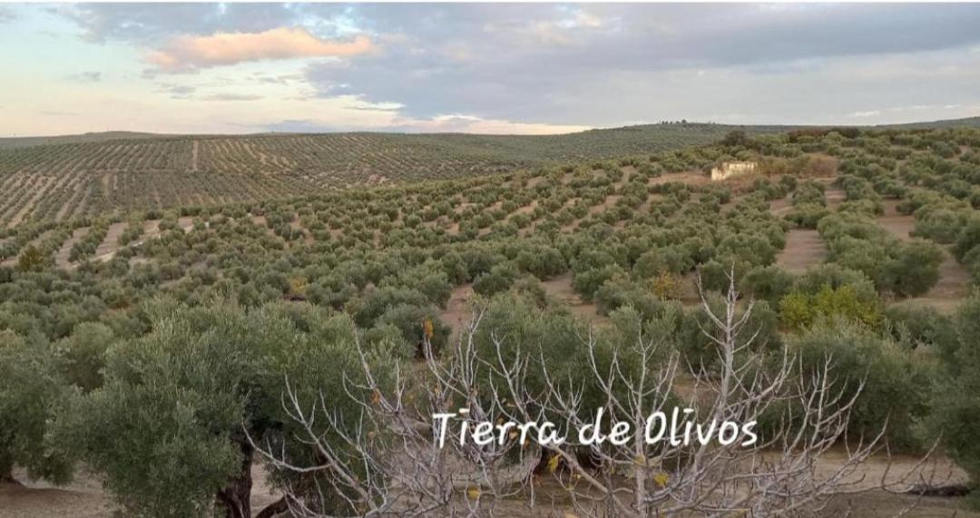 באיסה Alojamiento Vival Pineda מראה חיצוני תמונה